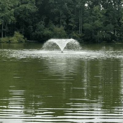 Fountain in Lake Luke Marion